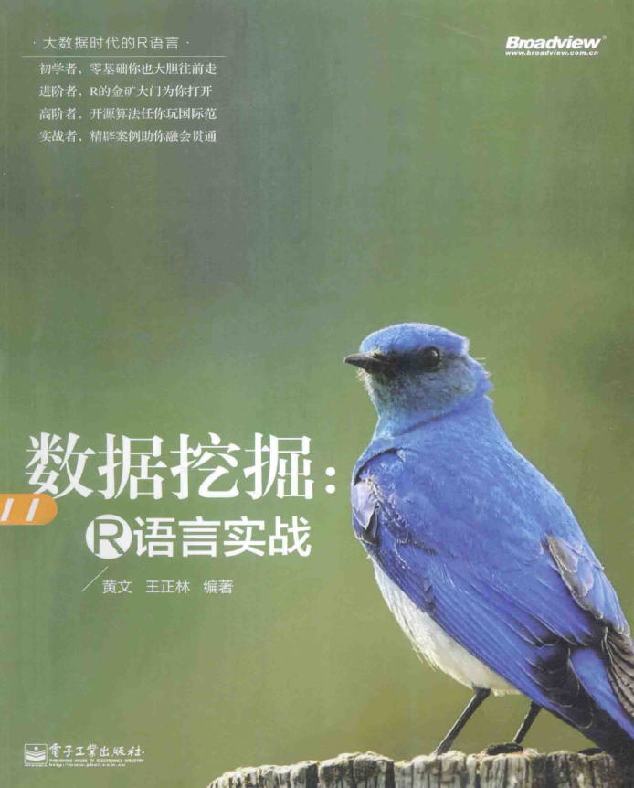 数据挖掘 R语言实战 黄文 完整版PDF_数据结构教程