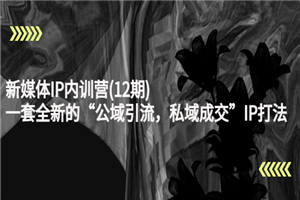 新媒体IP内训营(12期)，一套全新的“公域引流，私域成交”IP打法，直接带走