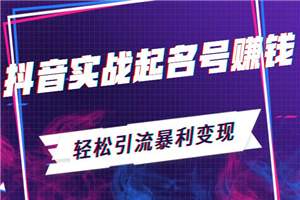 抖音实战起名号赚钱：轻松引流暴利变现