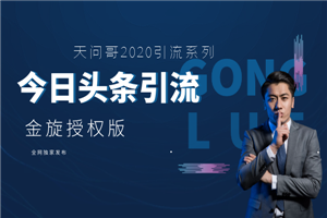 天问2020今日头条引流官方授权版