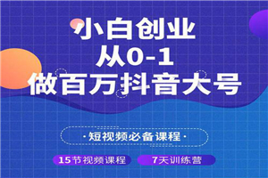 小白创业从0-1做百万抖音大号（全套实战课）