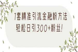 1套精准引流金融粉方法，轻松日引300+粉丝