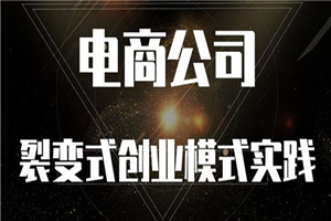 《电商公司裂变式创业模式实践》开拓更多项目 赚更多的钱