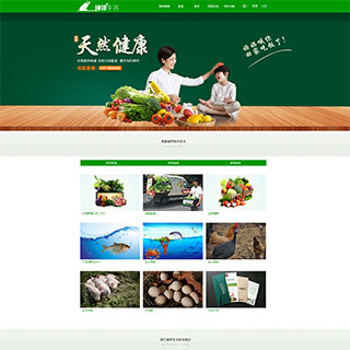 价值400元的 绿色清新discuz企业模板