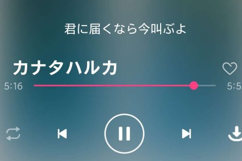 dog音乐在线听歌iapp源码